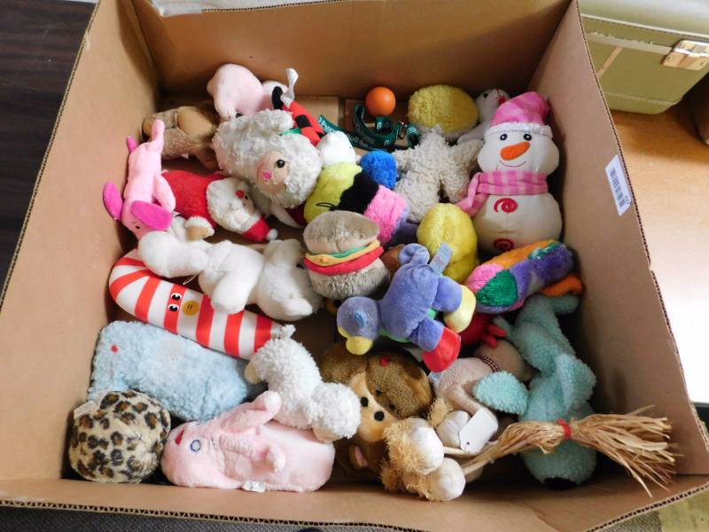 stuffed animals in a box