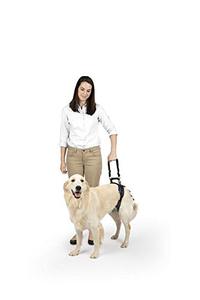 lot 26459 image: PetSafe CareLift Rear Support Harness - Lifting Aid with Handle and Shoulder Strap - Great for Pet Mobility and Older Dogs - Comfortable, Breathable Material - Easy to Adjust,Black,Large