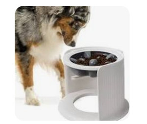 lot 26559 image: Elevated Dog Slow Feeder Bowls Adjustable Raised Dog Bowls with 3 Level Raised