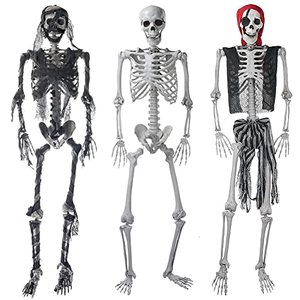 lot 33000014 image: 54 Halloween Skeleton Life Size - Plastic Skeletons with Freely Movable Joints, Posable Realistic Full Body Human Bones, Weatherproof Outdoor Halloween Decorations,Hanging Porch Decor (Pirate)