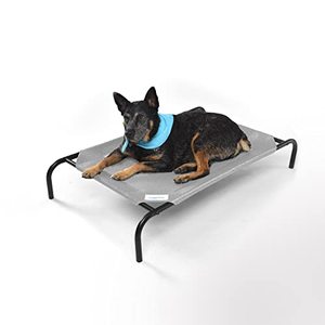 lot 33000341 image: Coolaroo The Original Cooling Elevated Pet Bed, Grey, Medium