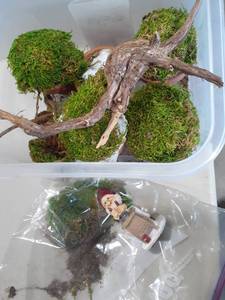 lot 1193 image: Moss and sticks for fairy garden
