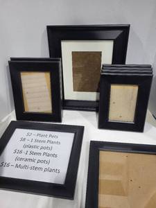 lot 1261 image: Black picture frames 3x5 to 8x10