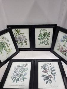 lot 1262 image: Set of 6 flower framed pictures