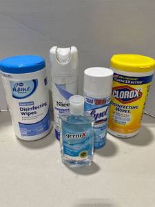 lot 1579 image: Clorox and other sanitizing products