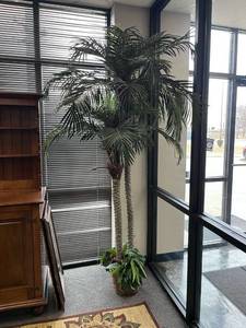 lot 2007 image: Artificial palm tree approximately 84 in tall