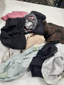 lot 1609 image: Ladies panties. Size 1X and 2X