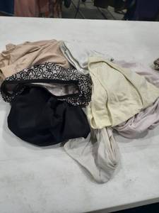 lot 1613 image: Ladies panties. Size 1X to 3X