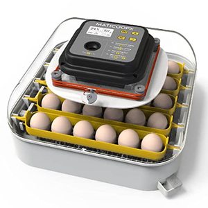 lot 3780 image: MATICOOPX 30-Egg Incubator w Humidity Display