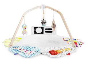 lot 68009 image: The Play Gym by Lovevery  Stage-Based Developmental Activity Gym & Play Mat for Baby to Toddler