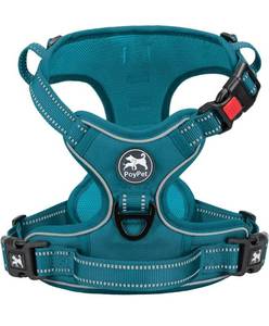 lot 31419 image: PoyPet No Pull Dog Harness, No Choke Reflective Dog Vest, Adjustable Pet Harnesses with Easy Control Padded Handle for Small Medium Large Dogs(Tumalo Teal,M)