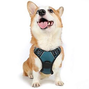 lot 31447 image: Rabbitgoo Dog Harness, No-Pull Pet Harness with 2 Leash Clips, Adjustable Soft Padded Dog Vest, Reflective No-Choke Pet Oxford Vest with Easy Control Handle for Medium Dogs, Blue Coral, M