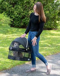 lot 25188 image: Pet Gear View 360 Pet Safety Carrier & Car Seat