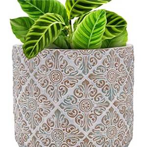 lot 228 image: INSPIRELLA Timeless Plant Pots �� 7.1