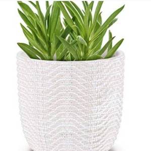 lot 229 image: INSPIRELLA - Contemporary flower pot