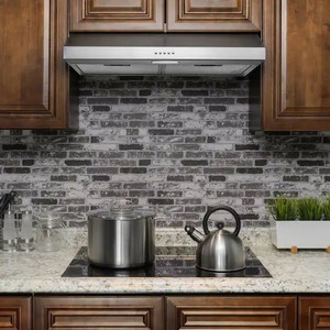 lot 14609 image: AKDY 30 in. 58 CFM Convertible Under Cabinet Range Hood in Brushed Stainless Steel with 2 Carbon Filters and Push Button Retail $ 149.99