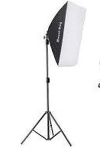 lot 3039 image: Mount Dog Softbox Lighting