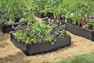 lot 3094 image: Treekosten Plant Grow Bed