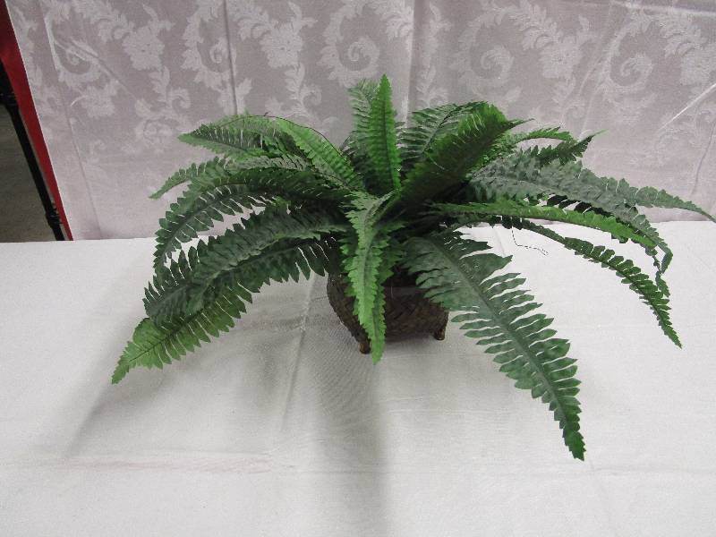 lot 267 image: Artificial Plant