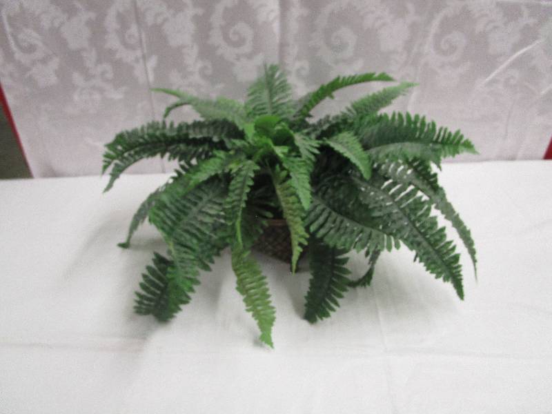 lot 269 image: Artificial Plant