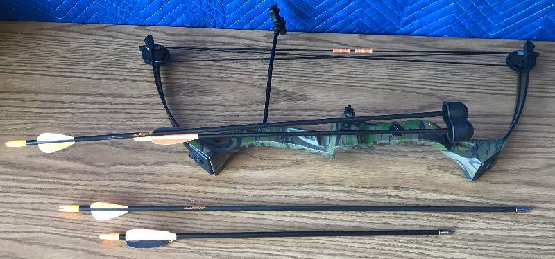 lot 2312 image: NXT Generation Youth Compound Bow with Arrows