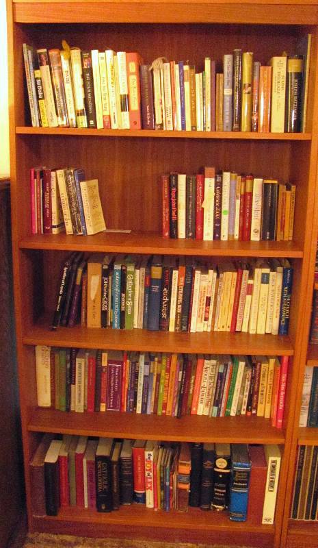 lot 7020 image: Good Looking Bookcase