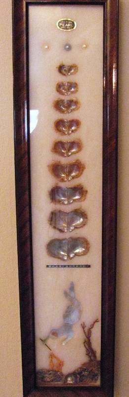 lot 7074 image: Cuture Pearl Wall Decor