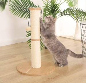 lot 55560 image: AmazonBasics Cat Scratching Post, Beige