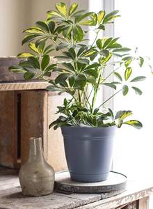 lot 55619 image: The HC Companies 12 Inch Eclipse Round Planter with Saucer - Indoor Outdoor Plant Pot for Flowers, Vegetables, and Herbs, Warm Gray