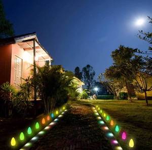 lot 55660 image: 4.5 Inch Christmas Light Stake for C7 C9 Christmas Lights Outdoor Universal Plastic Light Stakes Holiday Light Stake for Christmas Decorations Garden Path Lights (Black, 600 Pieces)