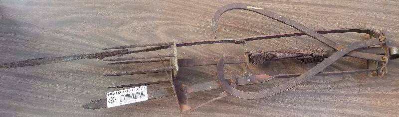 lot 7973 image: Antique Muskrat Trap