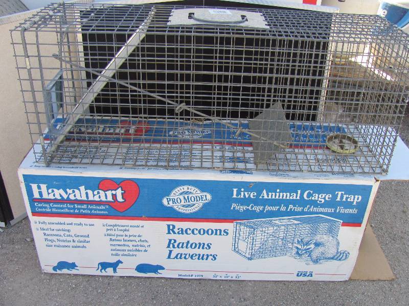 lot 7190 image: Live animal trap - Havahart cage - Raccoon size