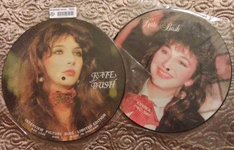 lot 7431 image: Kate Bush - Interview Picture Disc LP - Limited Edition Volumes A & B - Vinyl Record