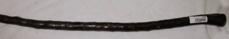 lot 6212 image: Walking Stick - VERY COOL 35
