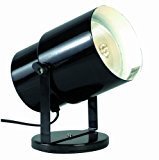 lot 4069 image: Satco Products SF77394 Multi-Purpose Portable Spot Light, Black