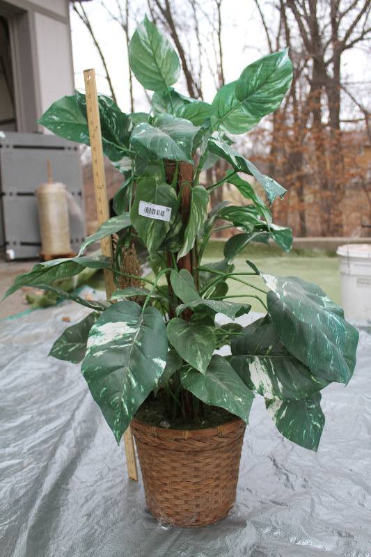 lot 27 image: Fake Plant- Tall