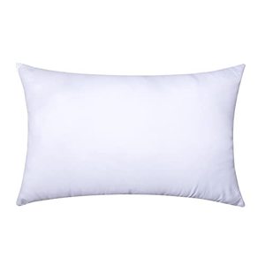 lot 1293 image: MIULEE Lumbar Throw Pillow Insert