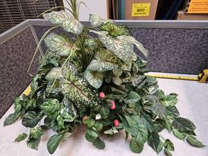 lot 67 image: Large Artificial Plant
