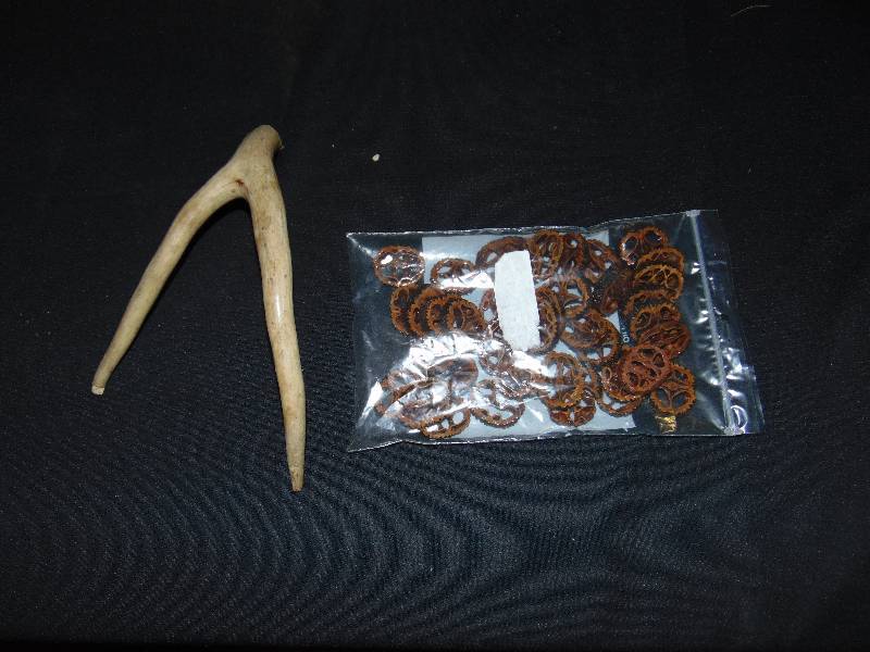 lot 1018 image: Mixed Lot Deer Antler and walnut cross sections