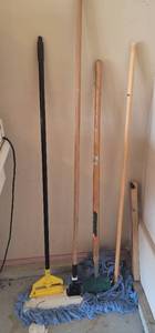 lot 294 image: Mops.