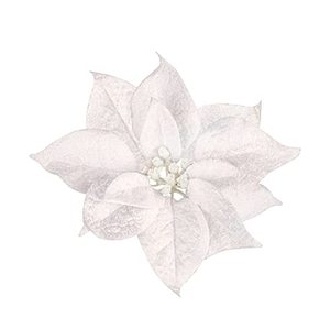 lot 3764 image: MOONET 12 Pcs Christmas Tree Decor Flowers Artificial Flannel Fabric Flowers with Clips Ornaments for Christmas Party Wedding, 6.69 inch (White)