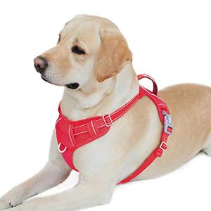 lot 4512 image: BARKBAY No Pull Dog Harness Front Clip Heavy Duty Reflective Easy Control Handle for Large Dog Walking with ID tag Pocket(Red,L)