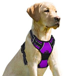 lot 4513 image: BARKBAY No Pull Dog Harness Front Clip Heavy Duty Reflective Easy Control Handle for Large Dog Walking(Purple,L)