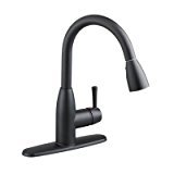 lot 5149 image: Fairbury Single Control Pull-Down Kitchen Faucet in Matte Black