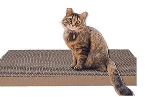 lot 1240 image: 4pk Cat Scratching Posts With Catnip 16.5x8