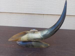 lot 6069 image: Horn decor - cigar holder