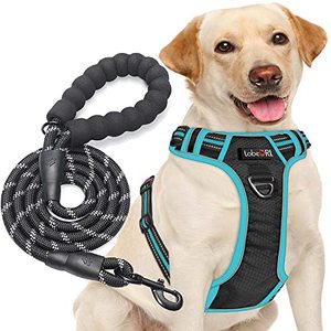 lot 16811 image: tobeDRI No Pull Dog Harness Adjustable Reflective Oxford Easy Control Medium Large Dog Harness with A Free Heavy Duty 5ft Dog Leash