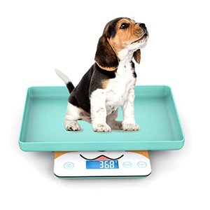 lot 16897 image: Newborn Pet Scale for Puppy and Kitten, Pet Scale with Detachable Tray for Dog Whelping Nursing, Weigh Pets Baby in Grams, 33lbs (�0.03oz), Size 11x 9 Inch (Robin-Egg Blue)