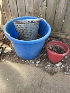 lot 2001 image: Large plastic blue tub with galvanized bucket and 8 in pot