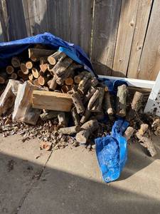 lot 2003 image: Fire wood with blue tarp
